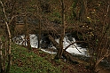 Rostoczek 11.2008 128